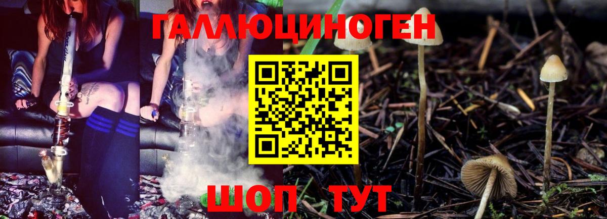 Галлюциногенные грибы MAGIC MUSHROOMS Невинномысск